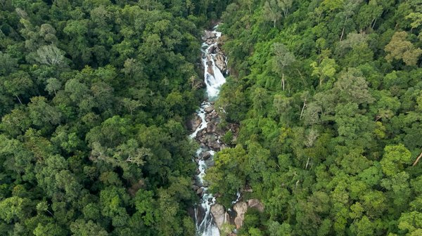 Scpi isr et écologiques : investir en respectant une approche verte 38994