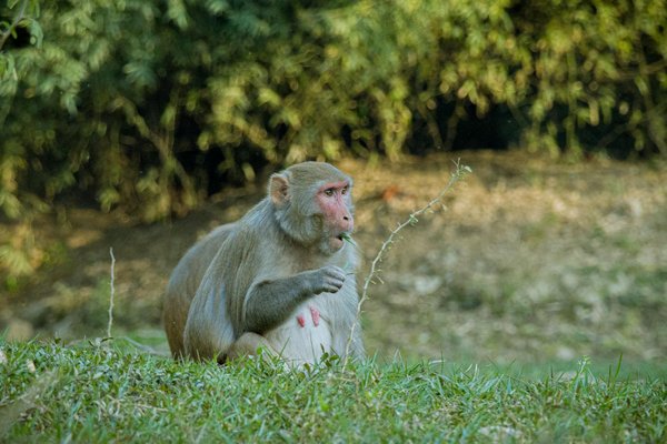 Scpi isr et écologiques : investir en respectant une approche verte 38994
